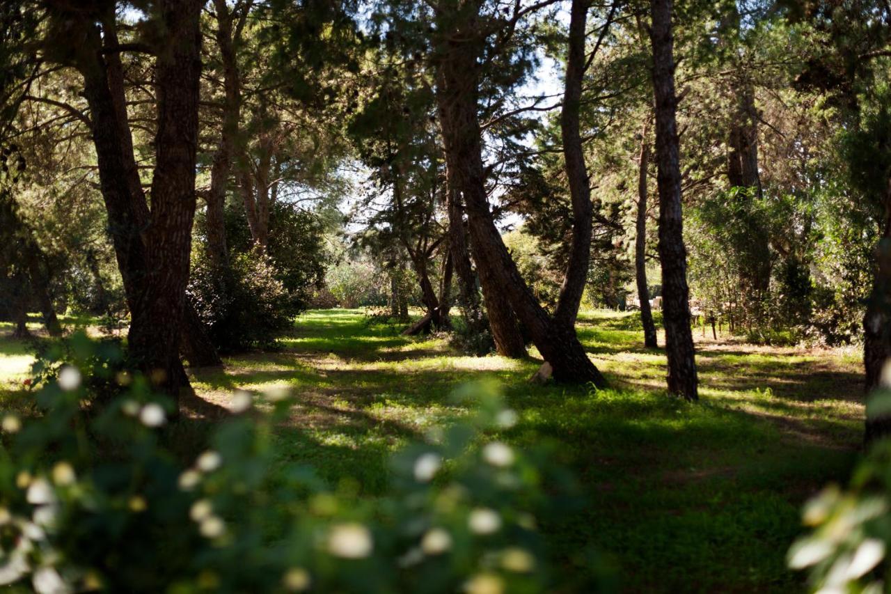 Masseria Borgo Mortella レッチェ エクステリア 写真